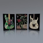 WIRE & WOOD: THE GUITARS OF STEVE VAI Bundle of both editions