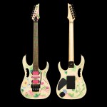 WIRE & WOOD: THE GUITARS OF STEVE VAI The Ultra Edition