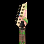 WIRE & WOOD: THE GUITARS OF STEVE VAI The Ultra Edition